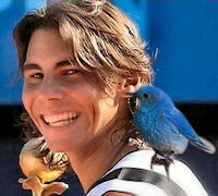 Rafa Nadal